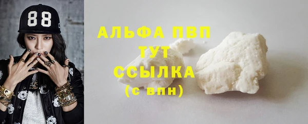 сатива Алзамай
